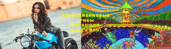 твердый Михайлов