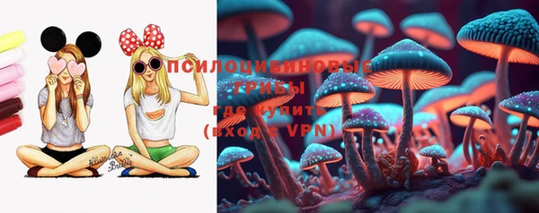 мдпв Абдулино